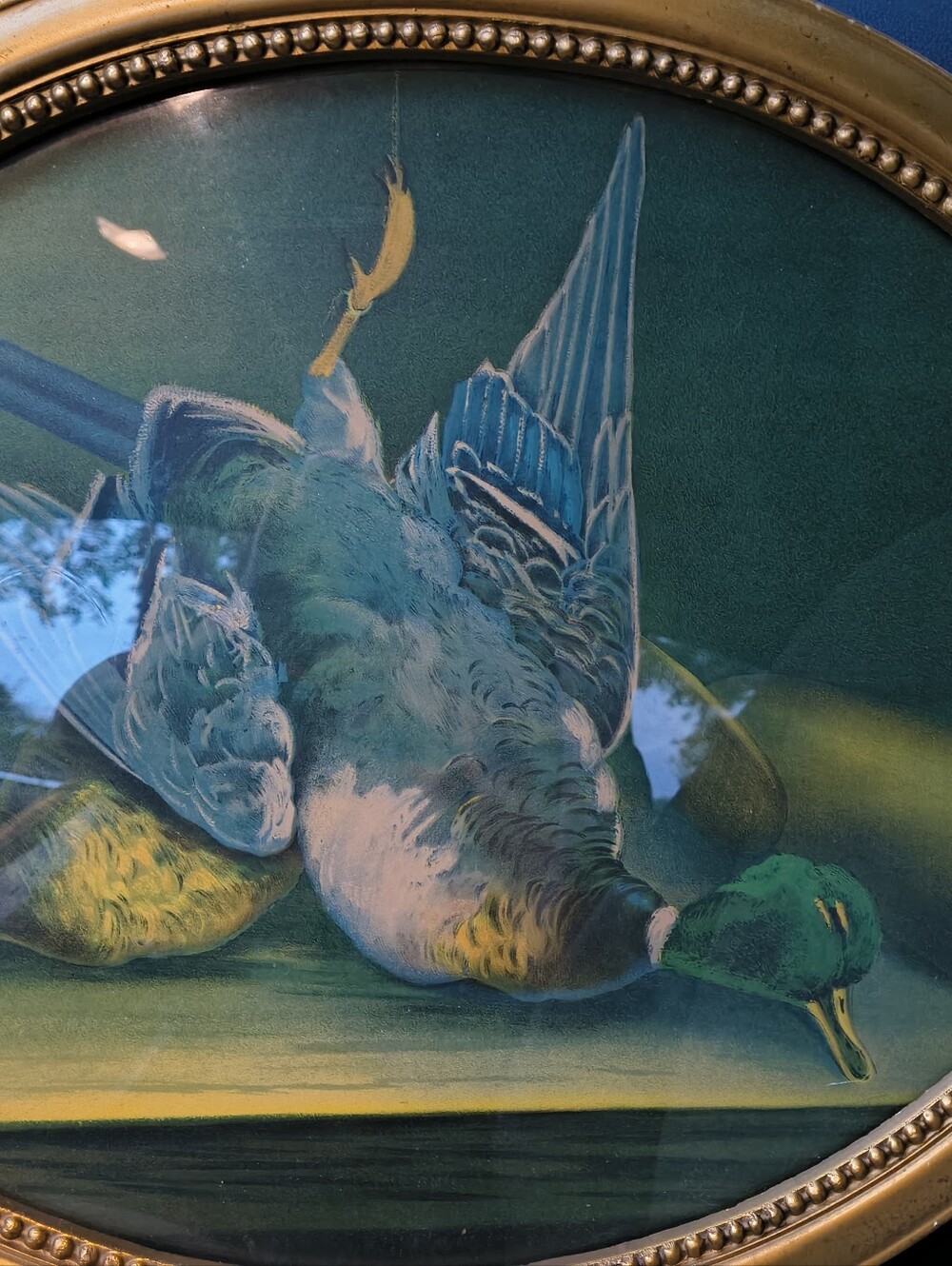 Vintage Premium Green and Blue Bird Artwork Print for Pet Enthusiasts